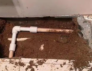 南雄测漏水哪家好