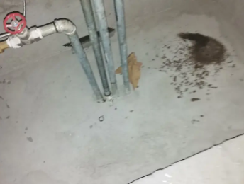 南雄卫生间测漏水价格明细