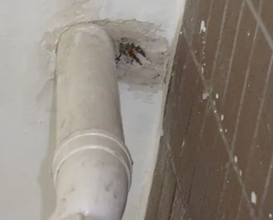 南雄漏水检测哪家好